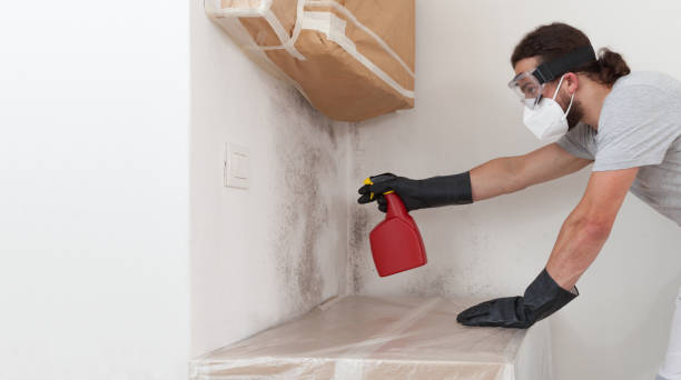 Professional Commercial Mold Remediation technician working in Rockwell Place, TX